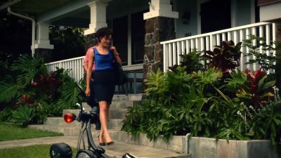 You going straight in? - Hawaii Five-0