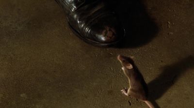 You gonna be a circus mouse after all. - The Green Mile