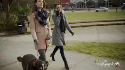You got a call
from someone named Molly? - Love at First Bark