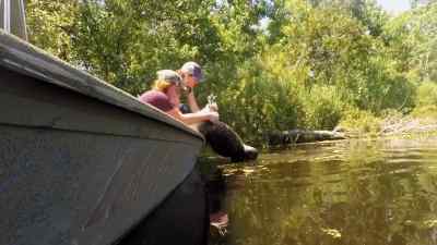           -You got him?
            -Almost. - Swamp People