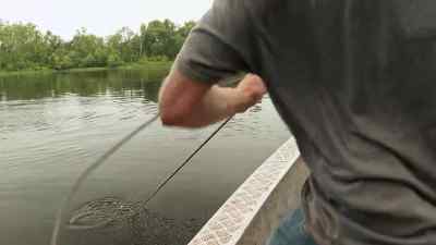           -You got him?
  -Yeah, I got him. I got him. - Swamp People