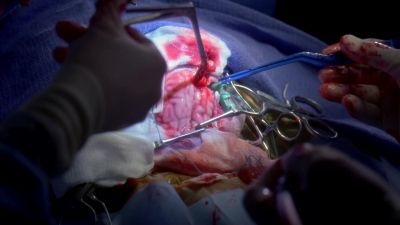 You got it? - Grey's Anatomy