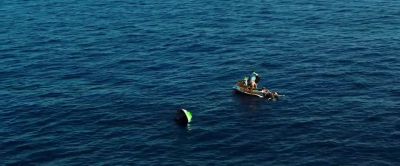 - You got it?
- Yeah, I got it. - Shark Bait
