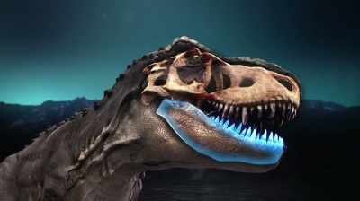 YOU GOT THE DENTARIES,
WHICH ARE THE LOWER JAWS -- - Dino Hunters