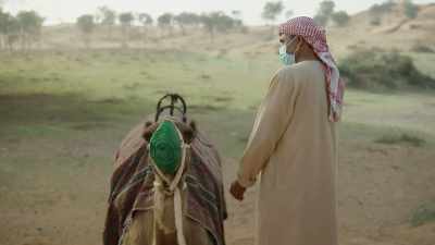 You got the resorts,
you've got the tranquility, - The Real Housewives of Dubai