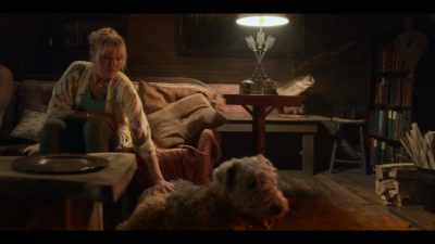 You got the same exact kind of dog, - The Sleepover