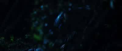 You got to come with me, okay? - Homefront