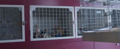 You got two this time. Nice one. - Peter Rabbit 2: The Runaway