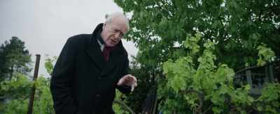 You gotta wrap your lemons
against the cold, Carl. - King of Thieves