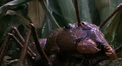You guys, come on. - Honey, I Shrunk the Kids