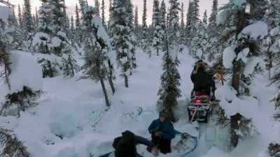You guys gotta remember
where these dens are at. - Life Below Zero: First Alaskans