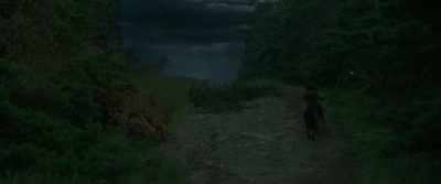 You guys take the
safe, long route - Willow