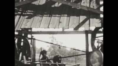 You have a Black
segregated community - Dreamland: The Burning of Black Wall Street