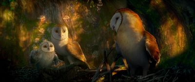 You have a soft head Soren - Legend of the Guardians: The Owls of Ga'Hoole