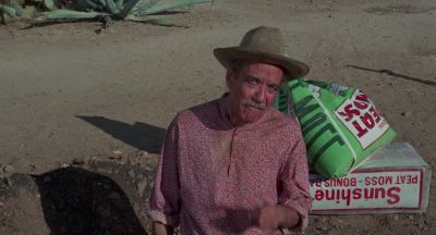 You have a very green thumb - What Ever Happened to Aunt Alice?