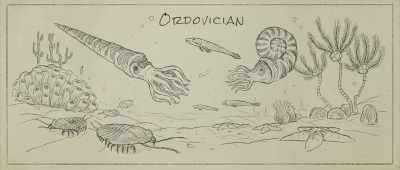 You have an ecosystem is destroyed and then have another. - Is Genesis History?