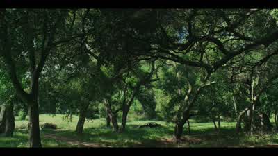 You have arrived at your first stop. - A Big Bold Beautiful Journey