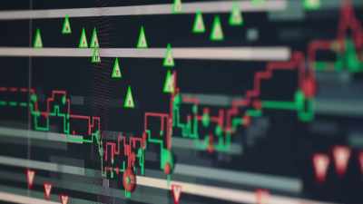 You have to basically
assessevery single possible
data - Diamond Hands: The Legend of WallStreetBets