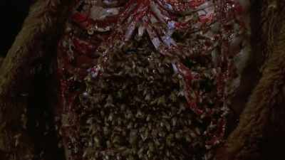 You have to be able
to deliver the scares, - Eli Roth's History of Horror