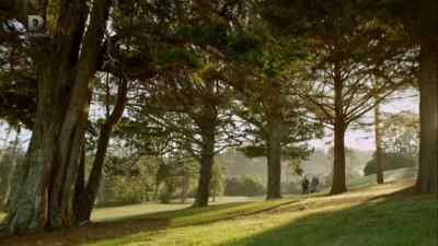 You have to get it to the hole
for it to have a chance. - The Brokenwood Mysteries
