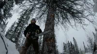 You have great,
big, unreliable trees, - Life Below Zero: Next Generation