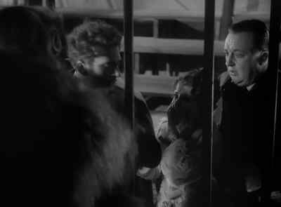 You have made a conquest,
Mademoiselle. - Murders in the Rue Morgue
