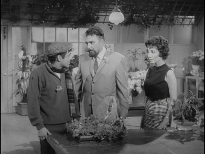 You have perhaps an explanation - The Little Shop of Horrors