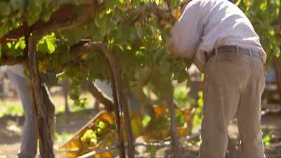 You have to really
think about where you're going, - Tin City