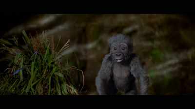 You have seen all the
security arrangements - Total Dhamaal