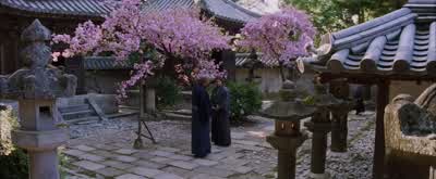 You have seen many things. - The Last Samurai