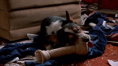 You have spent over 3 000 - Don't Tell Mom the Babysitter's Dead