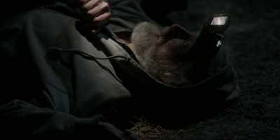 - You have spilled my blood
on holy ground. - Under the Banner of Heaven