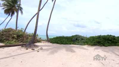 You have these beautiful
palms this way, - Island of Bryan