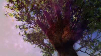 You have these profound
experiences - Fantastic Fungi