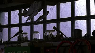 - You have to stop the bees. - Smallville