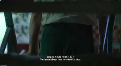 You haven't been here since Wildcat died. - Long Day's Journey into Night