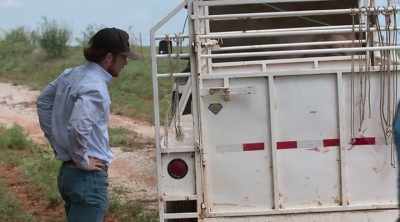 You hear horror stories
about guys getting killed - How to Be a Cowboy