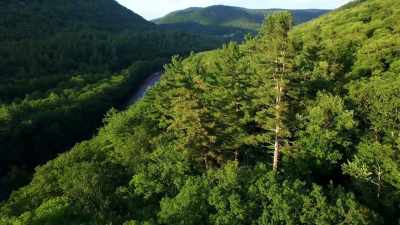 You hear me?
Put me on the record, - When Nature Calls with Helen Mirren