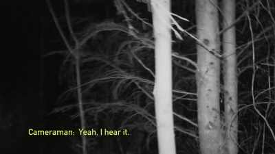 -You hear that, right?
-[cameraman speaking] - Expedition Bigfoot