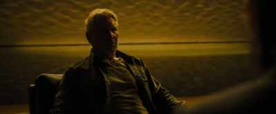 You had help in the hiding. - Blade Runner 2049