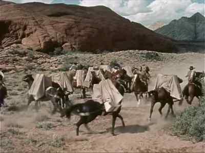 you hit these pack animals back to the - Santa Fe Passage