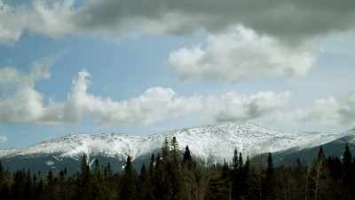 You honestly think
he's gonna hit ‐‐ - When Nature Calls with Helen Mirren