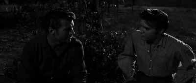 You! I want to talk to you! - Love Me Tender