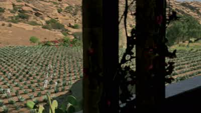 You imagine I have gone mad, do you? - Westworld