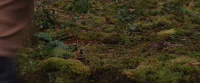 You imprinted on my daughter? - The Twilight Saga: Breaking Dawn   Part 2