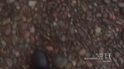 You just got to hope that a bear
does not wander through here. - Alone