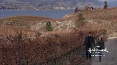 You just have to admit, - Valentine in the Vineyard