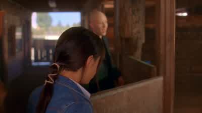 You just seem more interesting than that. - Smallville