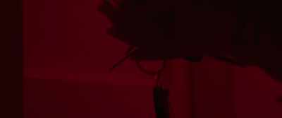 You just want to hurt yourself  Chloe?  no - Dark Cloud