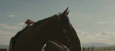You keep breaking horses. - Walker Independence
